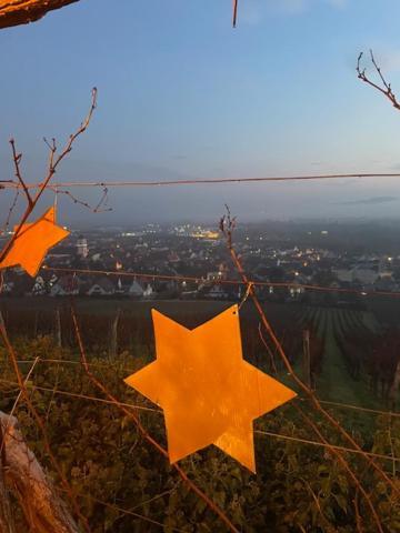 הוילה Kirchheim Chez Schumi מראה חיצוני תמונה